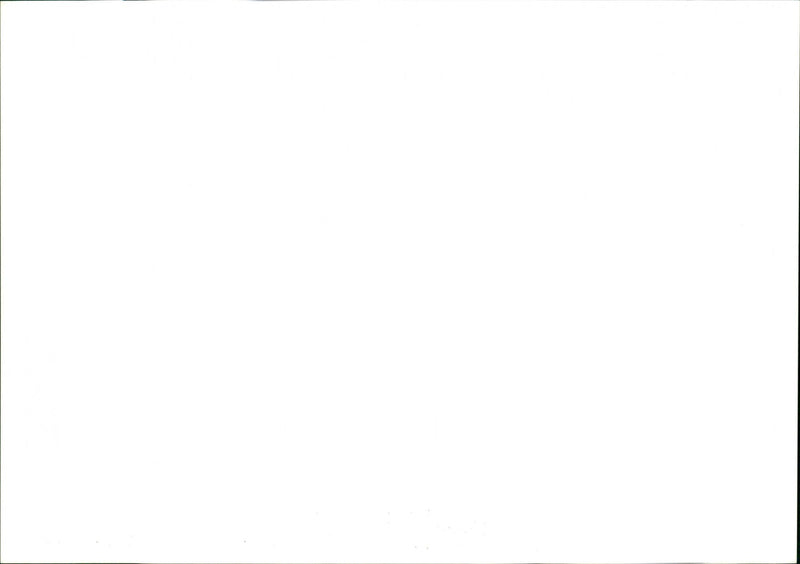 Dog - Vintage Photograph