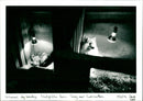 Dog Breeding - Vintage Photograph