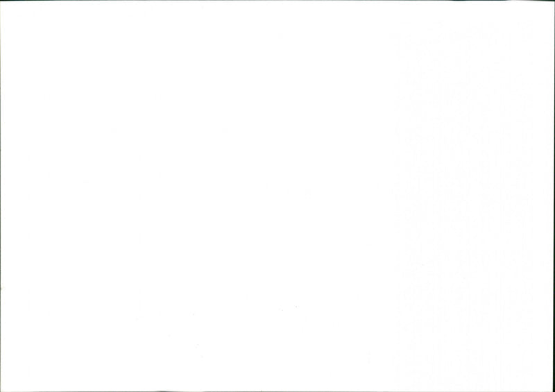 Moth - Vintage Photograph