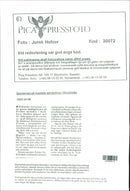 1995 SWEDEN PICA RESPONSIBLE FUTURE IMAGE OF STAR DUKE JOHN WIFE - Vintage Photograph