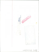 DAIBADE PENSIONS STAR DUKE JOHN WIFE - Vintage Photograph