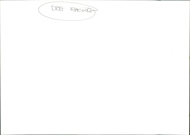 Dog Racing - Vintage Photograph