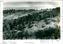 Devil's Punch Bowl - Vintage Photograph