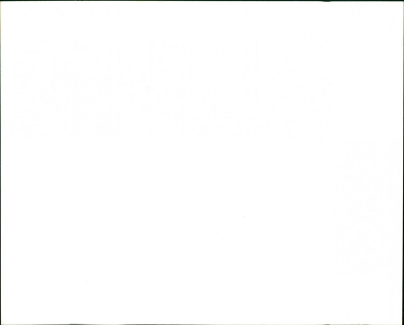 Rod Stewart - Vintage Photograph