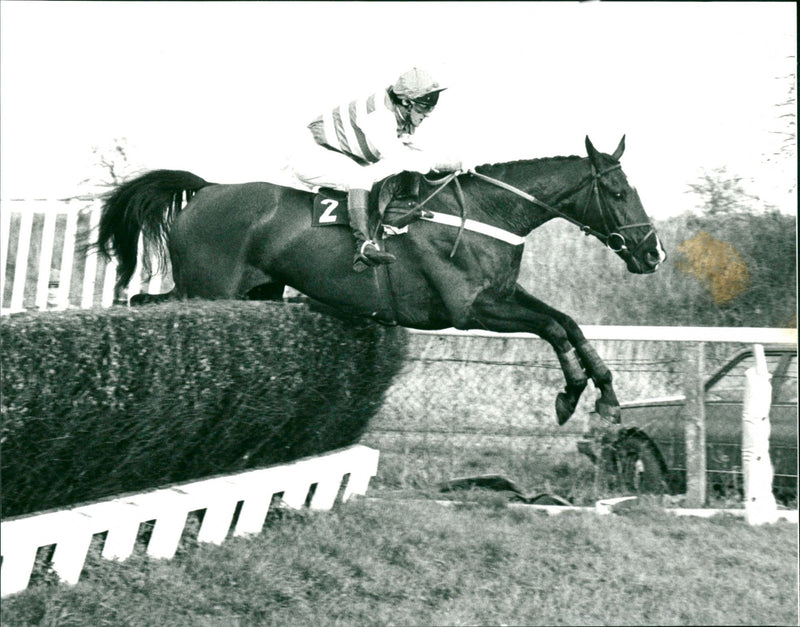 Stearsby - Vintage Photograph