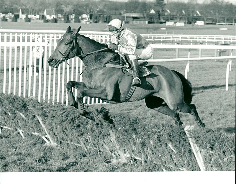 R Dunwoody - Vintage Photograph