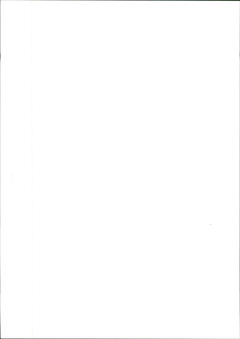 Pigs - Vintage Photograph