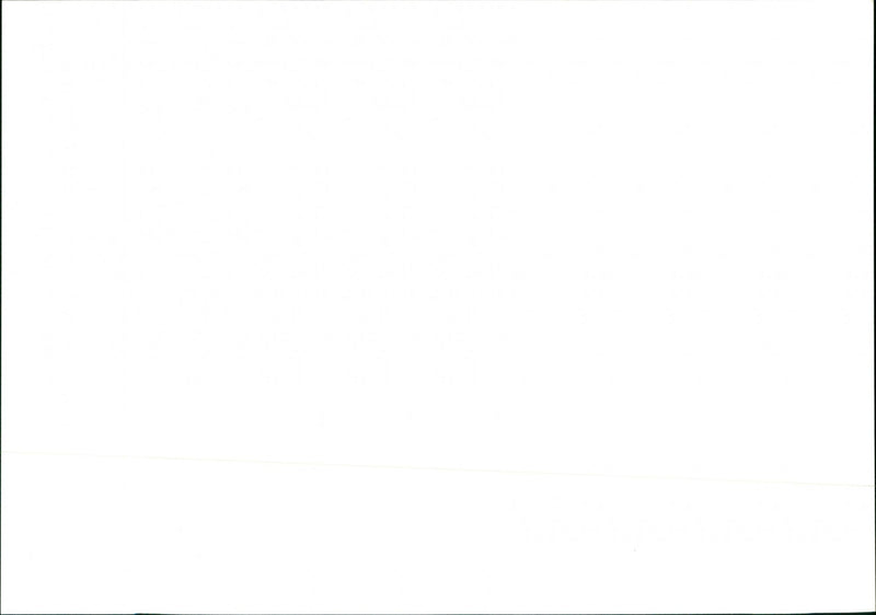 Pen Wood - Vintage Photograph