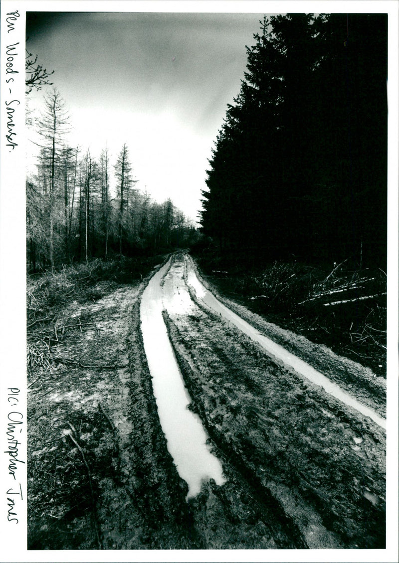 Pen Woods - Vintage Photograph