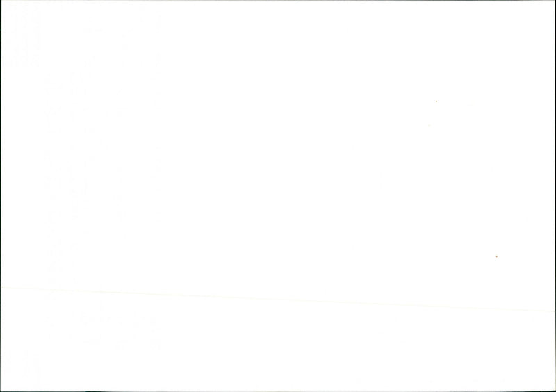 Pen Woods - Vintage Photograph