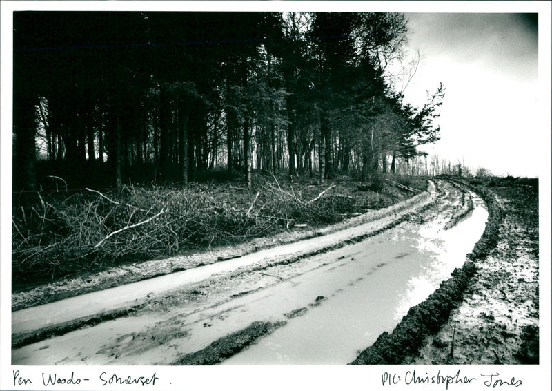 Pen Woods - Vintage Photograph