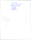 Penguins - Vintage Photograph