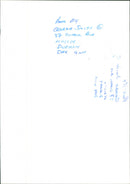 Penguins - Vintage Photograph