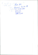 Penguins - Vintage Photograph