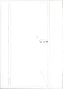 Pigs - Vintage Photograph