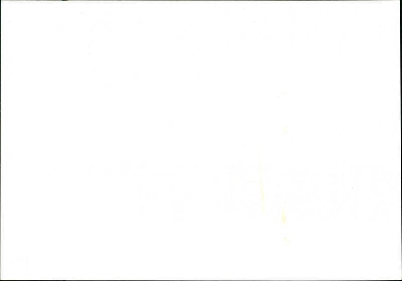 Beach - Vintage Photograph