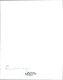 Birds of Prey - Vintage Photograph