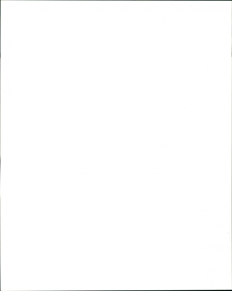 Birds of Prey - Vintage Photograph