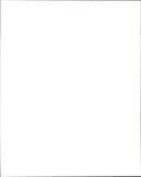 Birds of Prey - Vintage Photograph