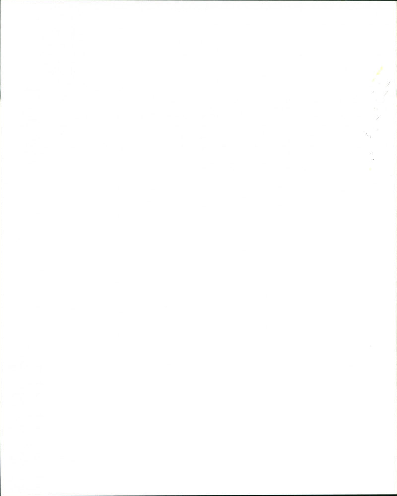 Birds of Prey - Vintage Photograph