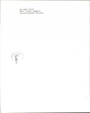 Birds of Prey - Vintage Photograph