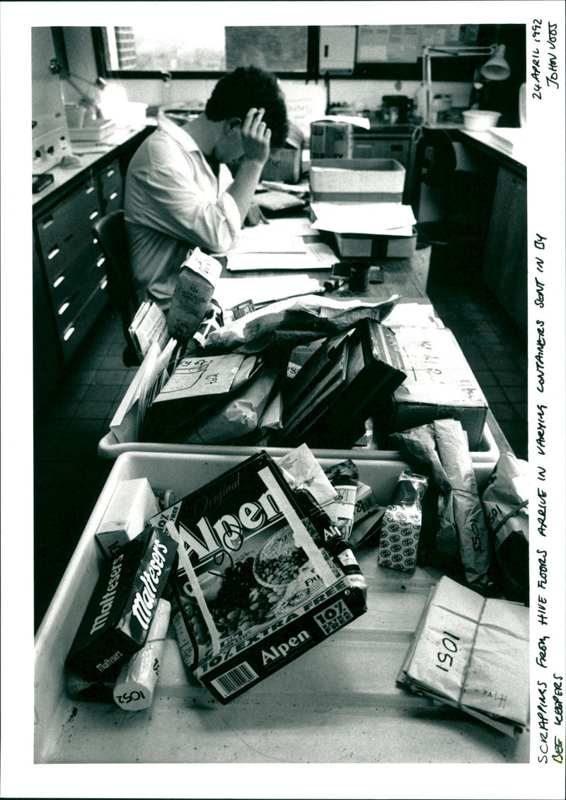 Bee - Vintage Photograph