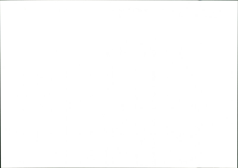 Dog Racing - Vintage Photograph