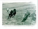 Dog Racing - Vintage Photograph