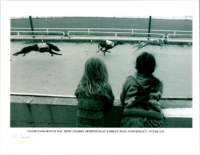 Dog Racing - Vintage Photograph