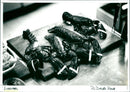 Lobsters - Vintage Photograph