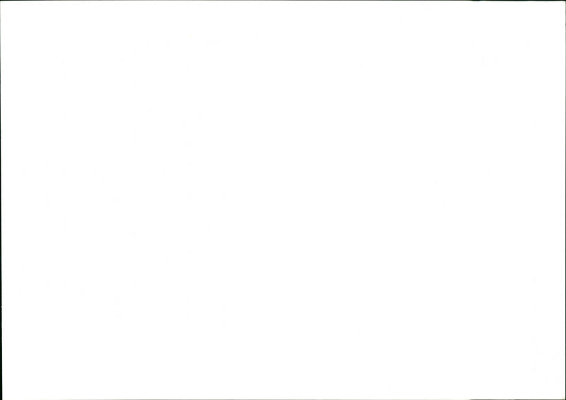 Magic Mushrooms - Vintage Photograph