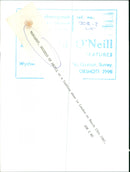 Margaret, Duchess of Argyll - Vintage Photograph