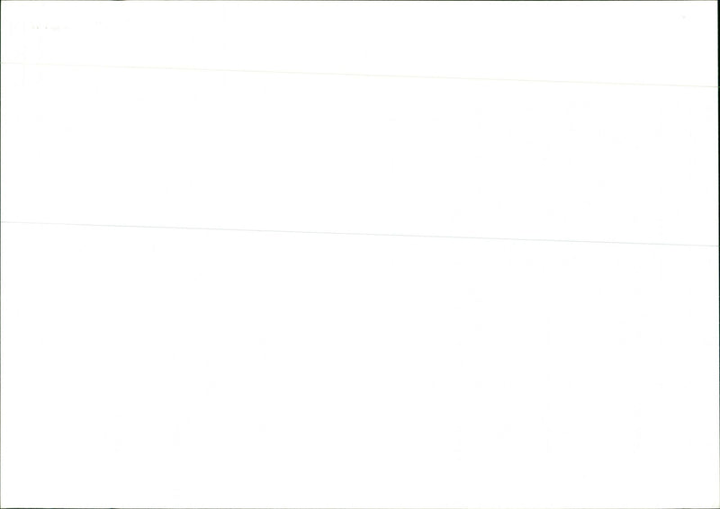 Herod's Temple Model - Vintage Photograph