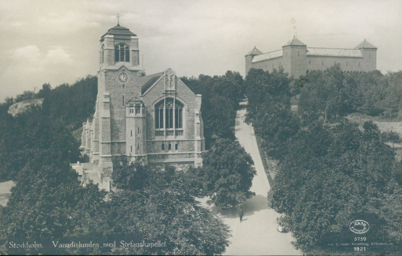 The Vanadis grove with the Stefan Chapel - Vintage Photograph