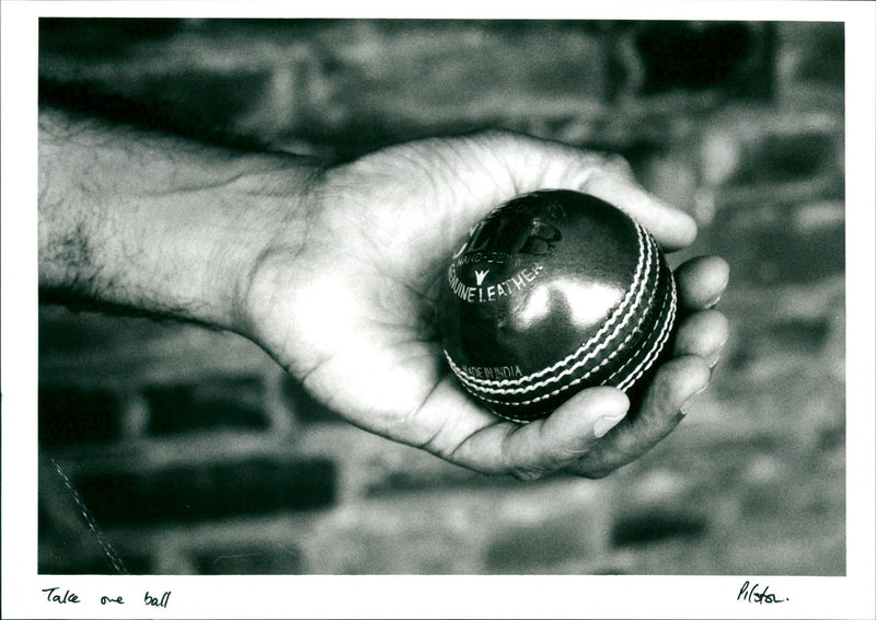 Cricket Balls - Vintage Photograph