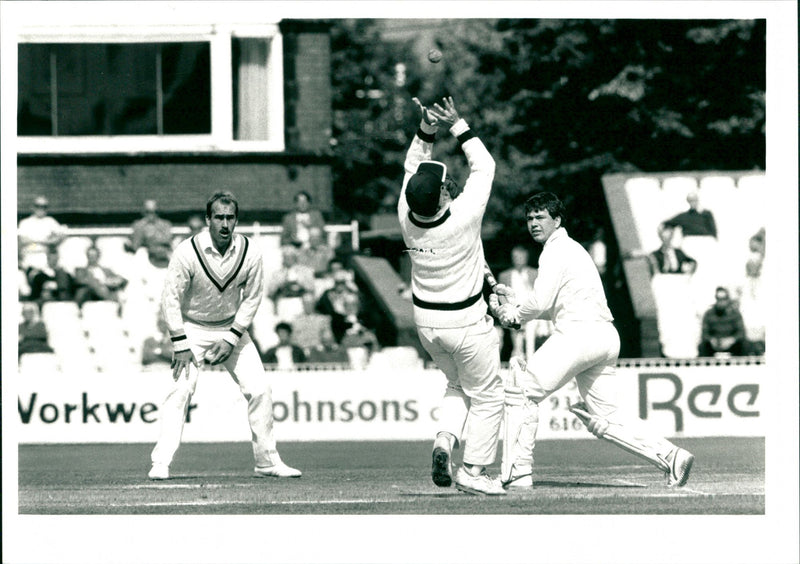 Cricket - Vintage Photograph