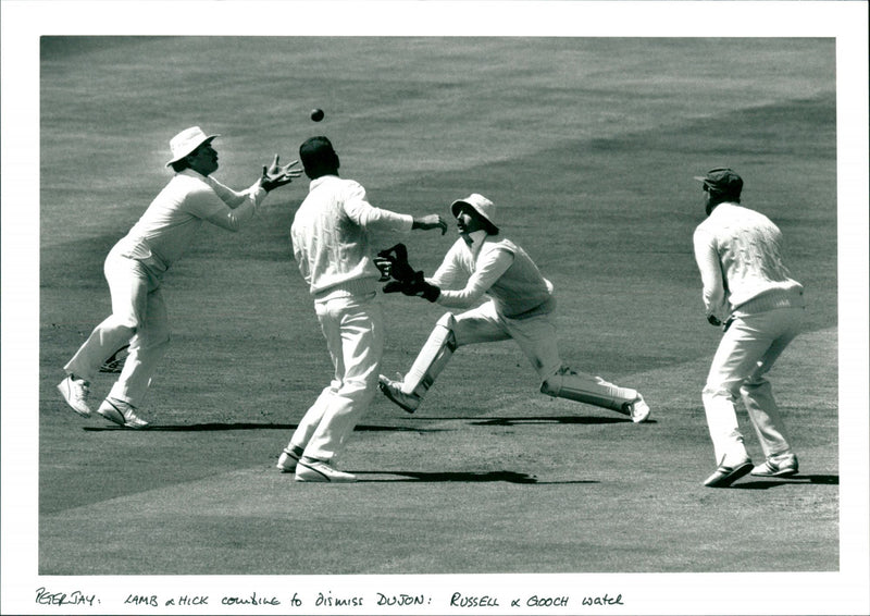 Cricket - Vintage Photograph