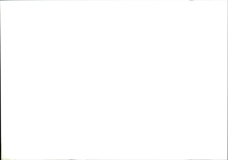 Table Tennis - Vintage Photograph