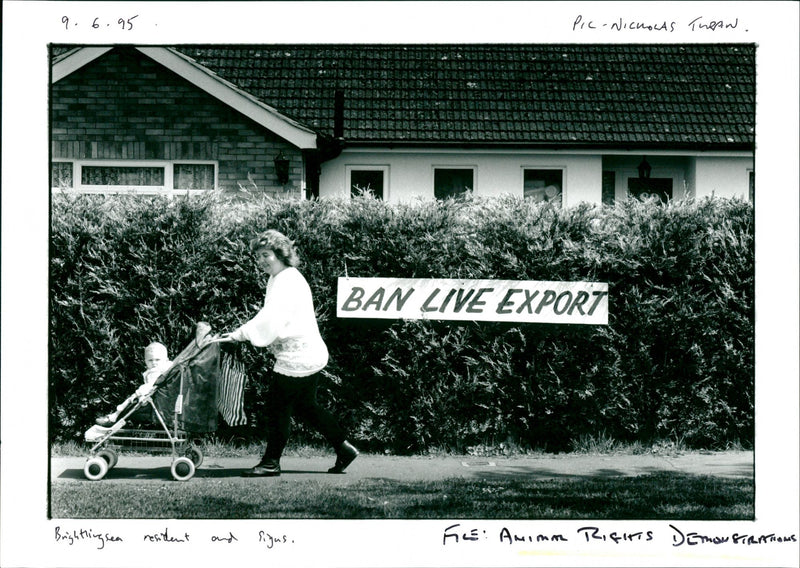 Animal Rights Demonstrations - Vintage Photograph