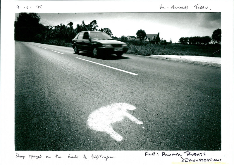 Animal Rights Demonstrations - Vintage Photograph