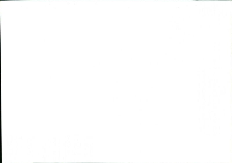 Deer - Vintage Photograph