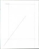 Chinese Muntjac Deer - Vintage Photograph