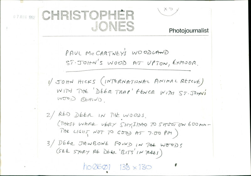 Deer - Vintage Photograph