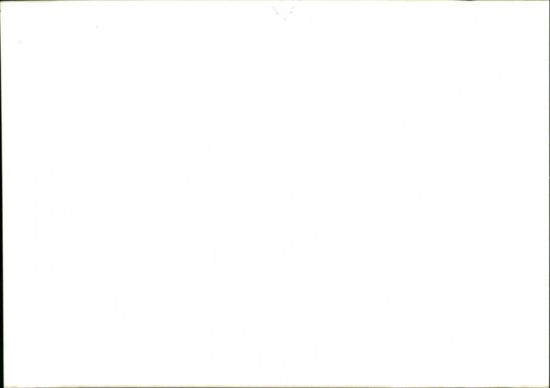 Deer - Vintage Photograph