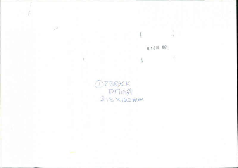 Deer - Vintage Photograph