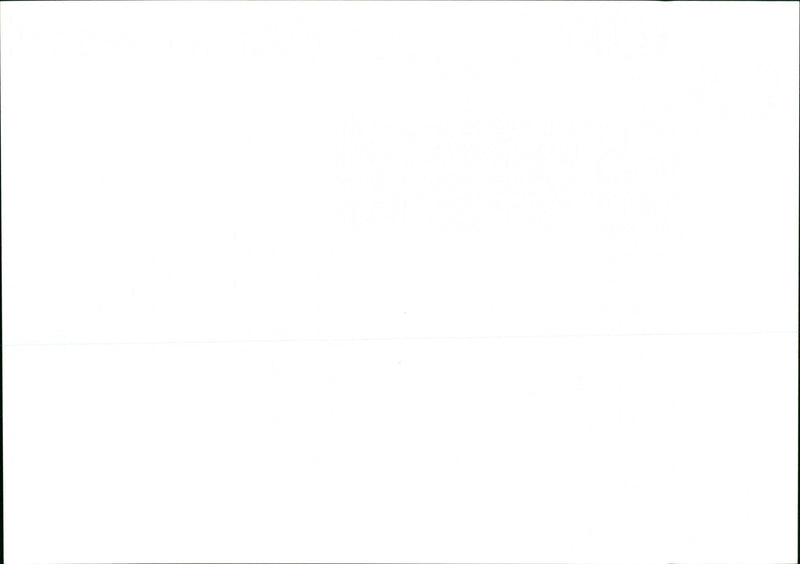 Flower - Vintage Photograph