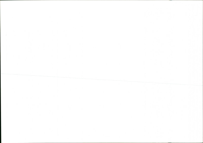 Flowers - Vintage Photograph