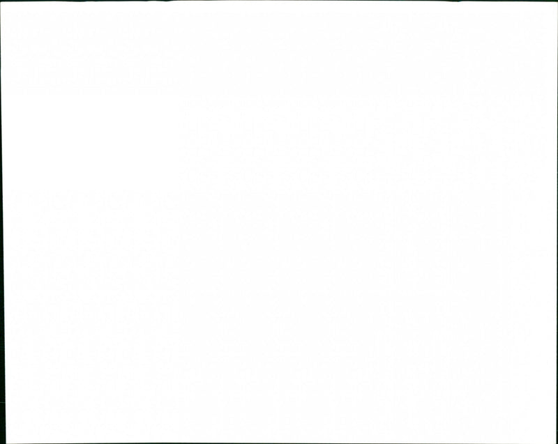 Frog - Vintage Photograph