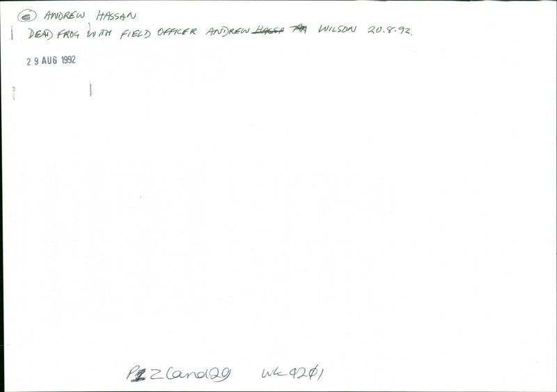 Frog - Vintage Photograph