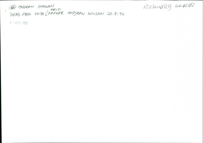 Frog - Vintage Photograph